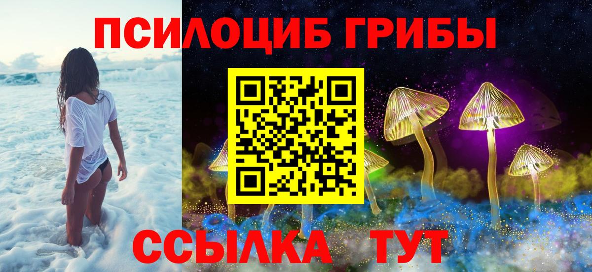 Приморско-Ахтарск  Псилоцибиновые грибы Cubensis  Вход с VPN  Псилоцибиновые грибы MAGIC MUSHROOMS 