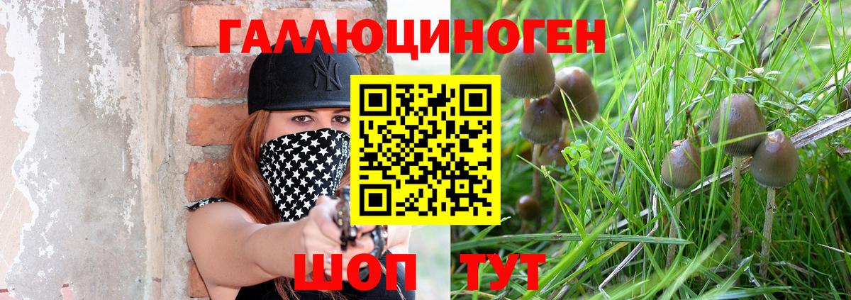 Галлюциногенные грибы мухоморы Приморско-Ахтарск